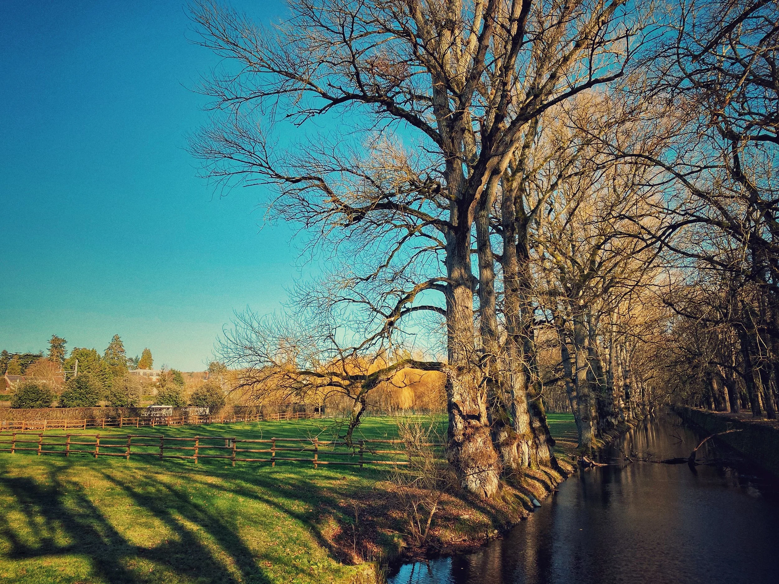 2020-01。Chenonceau-04  France  舍农索堡-04  法国.jpg