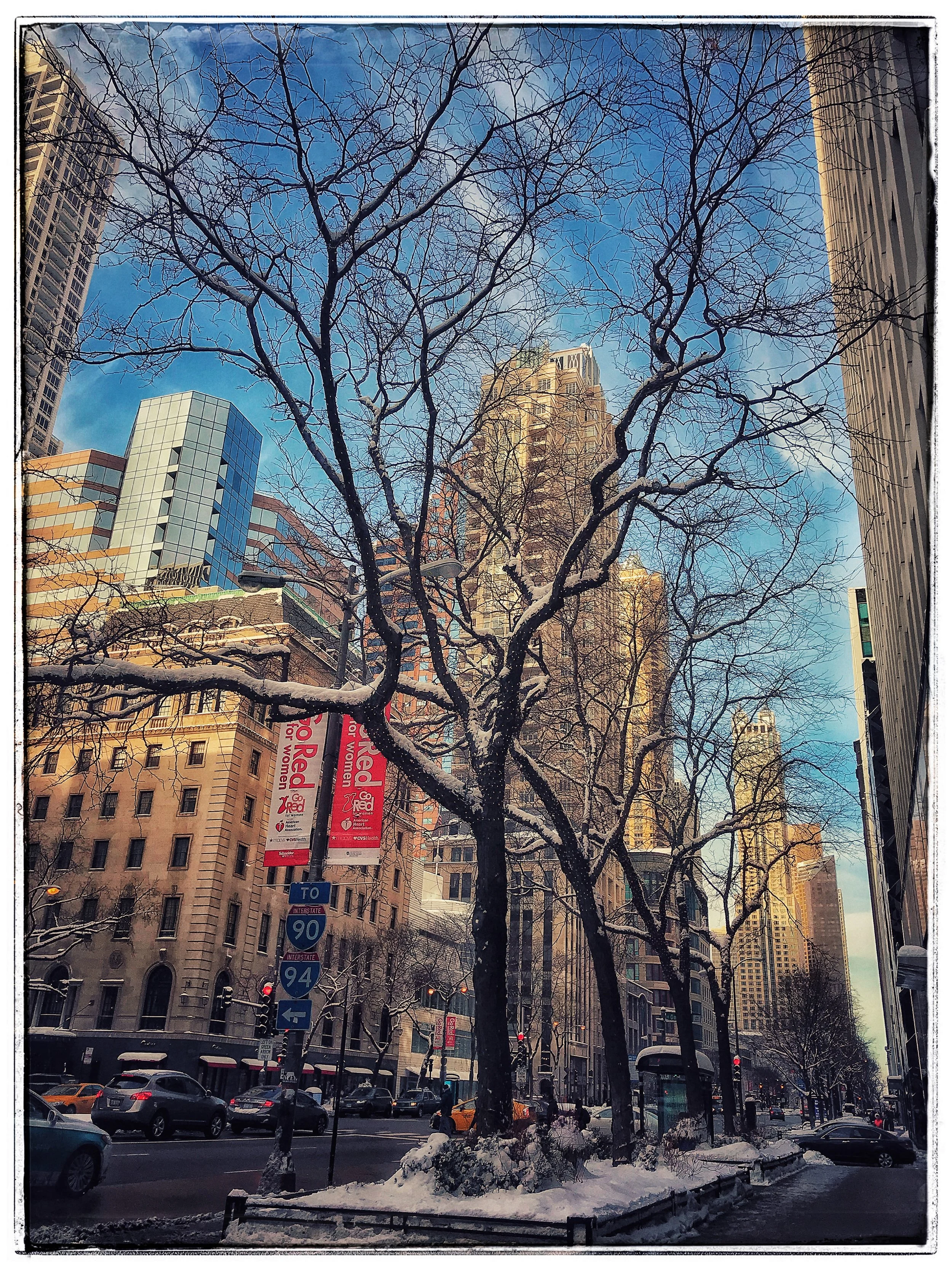 2018-02  Chicago-01  American  芝加哥-01  美国.jpg