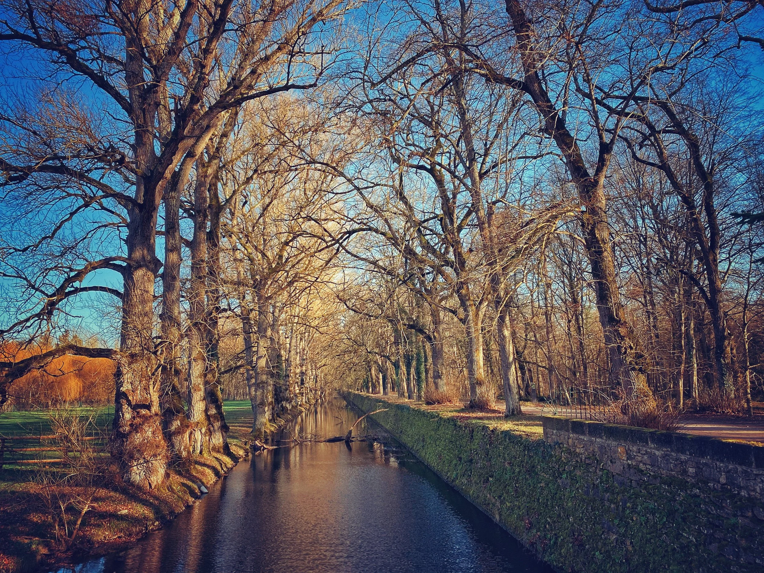 2020-01  Chenonceau-05  France  舍农索堡-05  法国.jpg