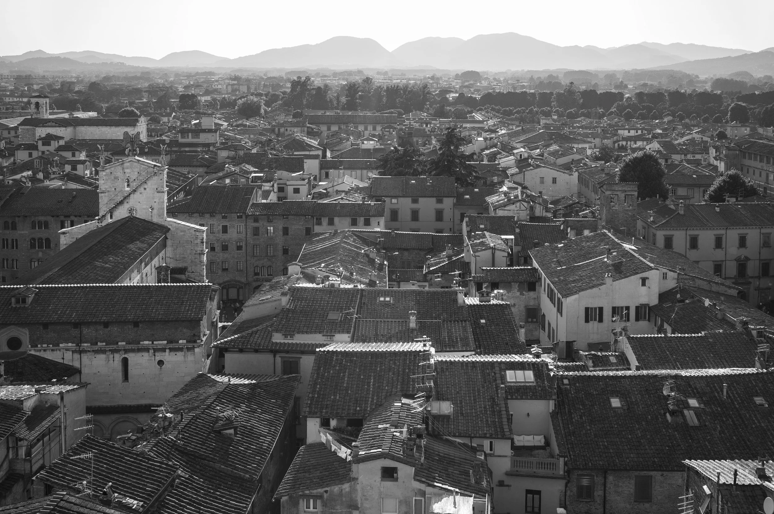 2016-BW-I  10  卢卡  意大利  Luca  Italy.jpg