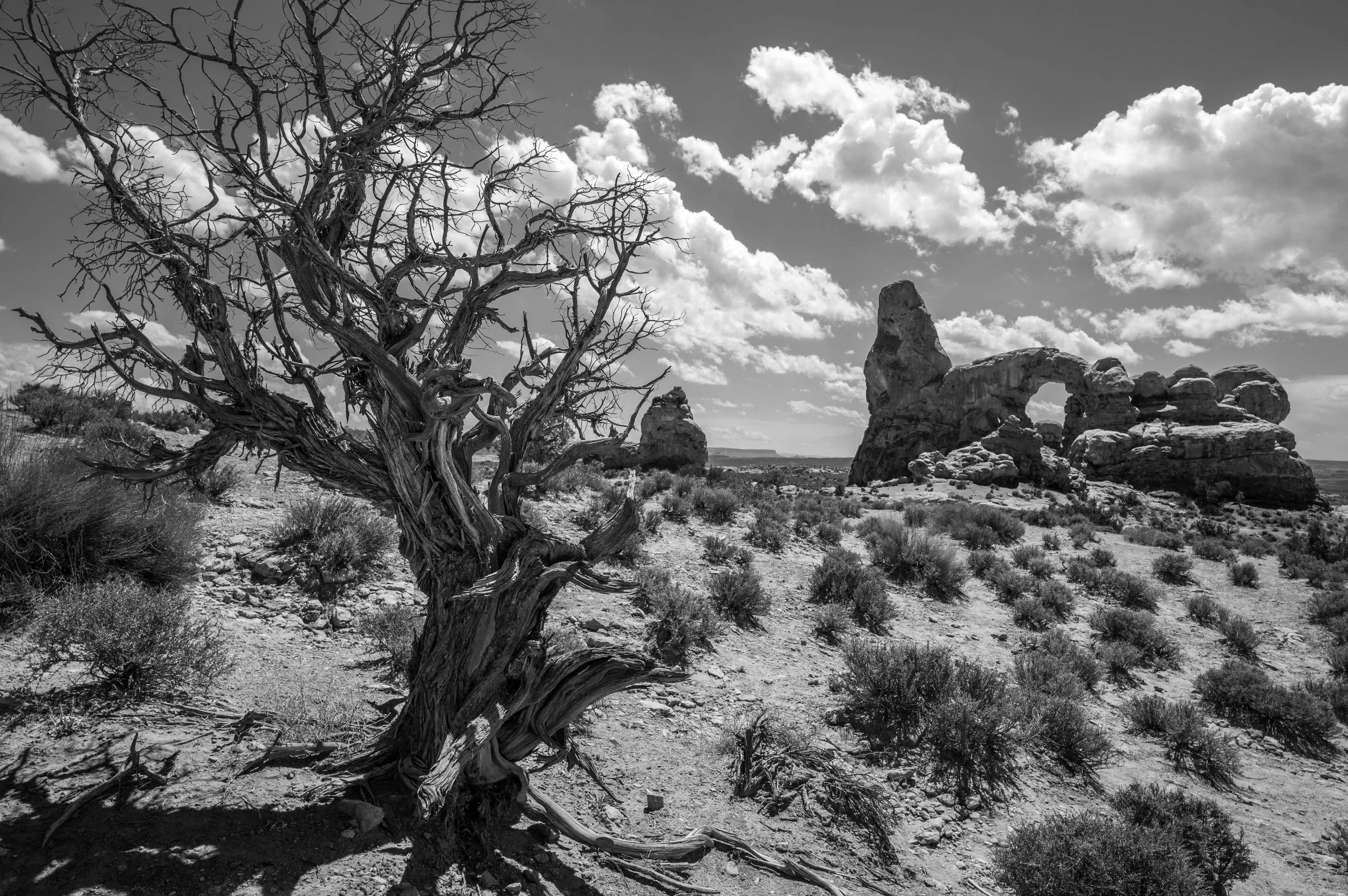2015-BW-A  06  拱门国家公园  犹他州  美国  Arches National Park  Utah  America.jpg