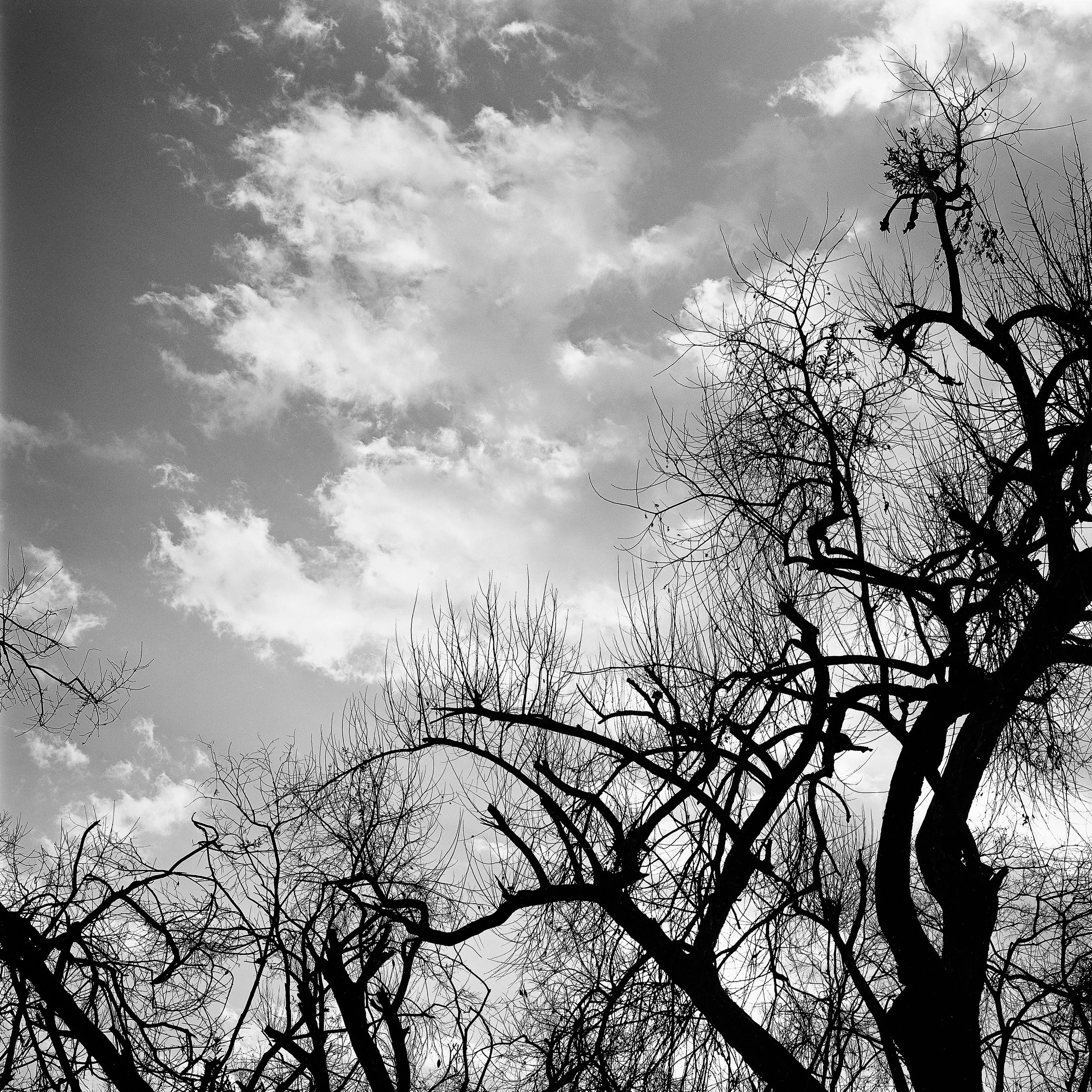 2001-BW-L-Y  2  丽江  云南.jpg