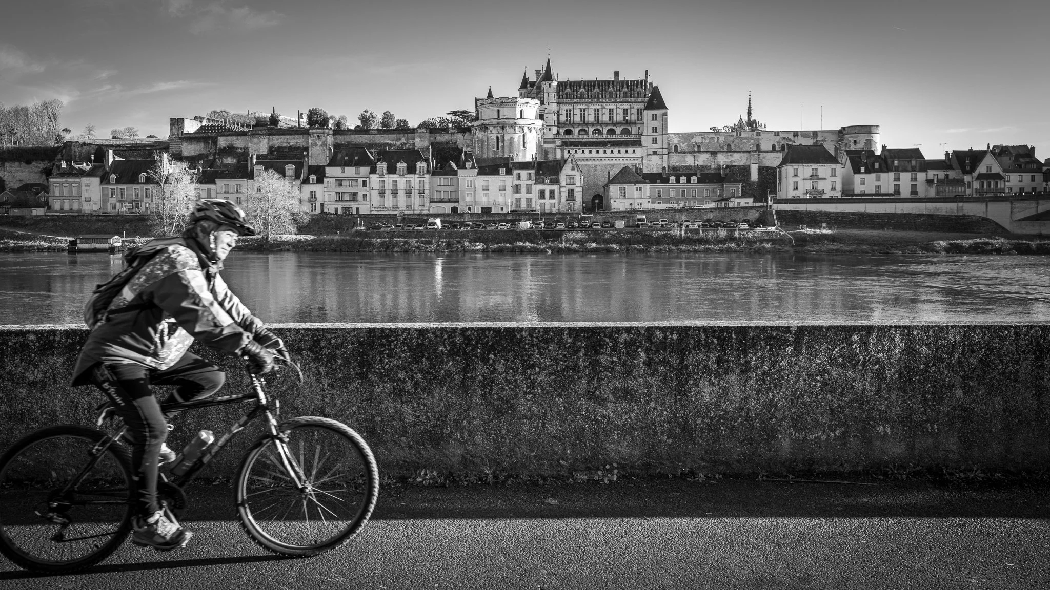 2020  Amboise 02  France.jpg