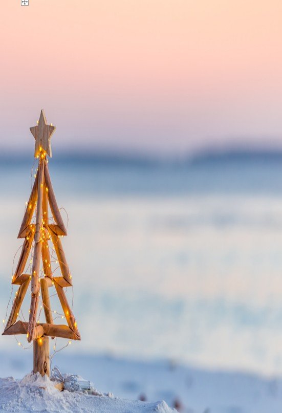 Christmas Celebration Concert 