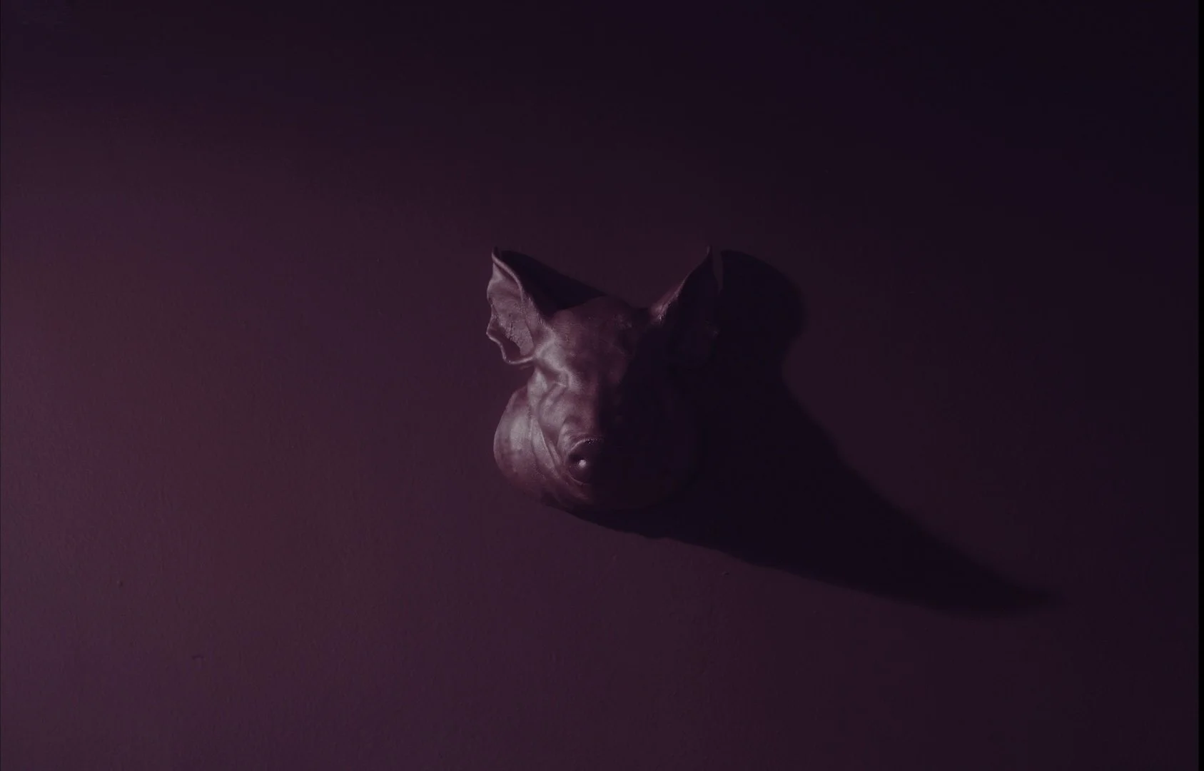pig2_1.10.2.jpg