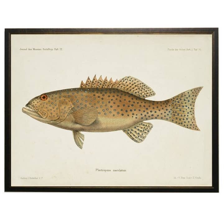 Vintage Fish