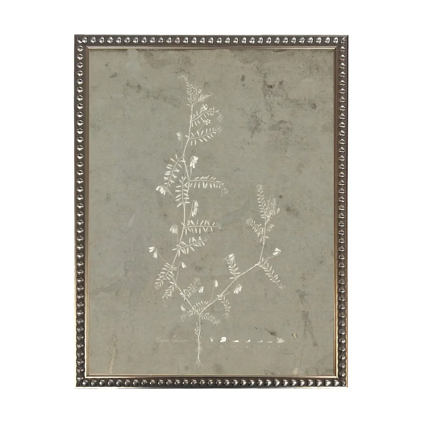 Rustic Flora