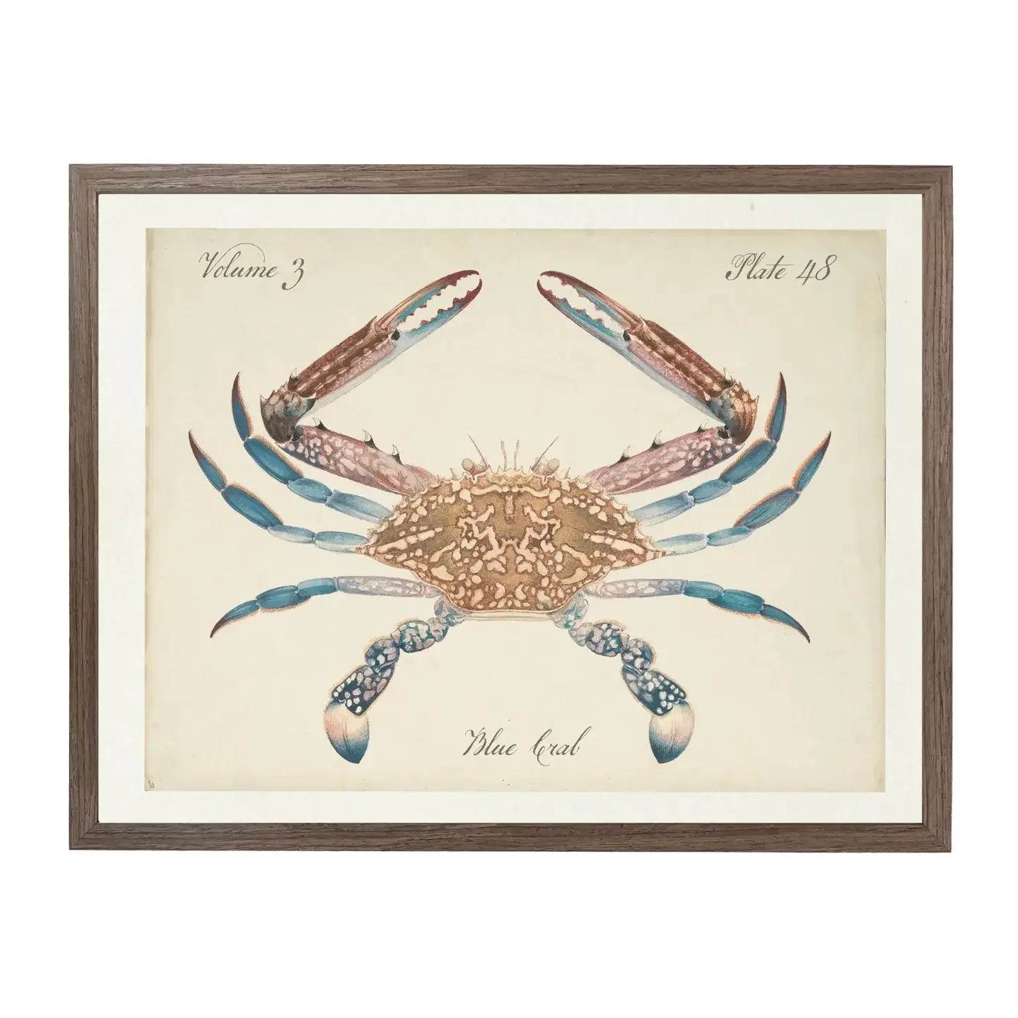 The Crab.webp