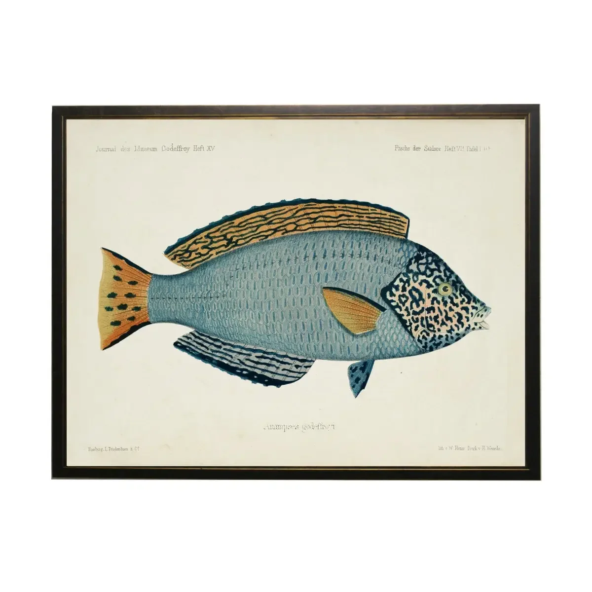 Vintage Blue Fish.webp