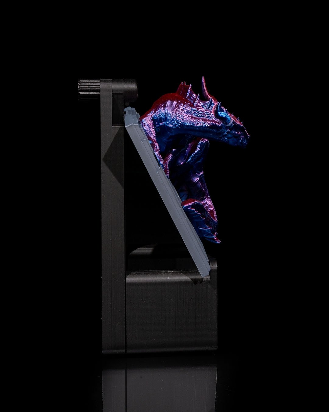 Dragon_Warden_Light_Switch_Cover5_560e418a0e.jpg
