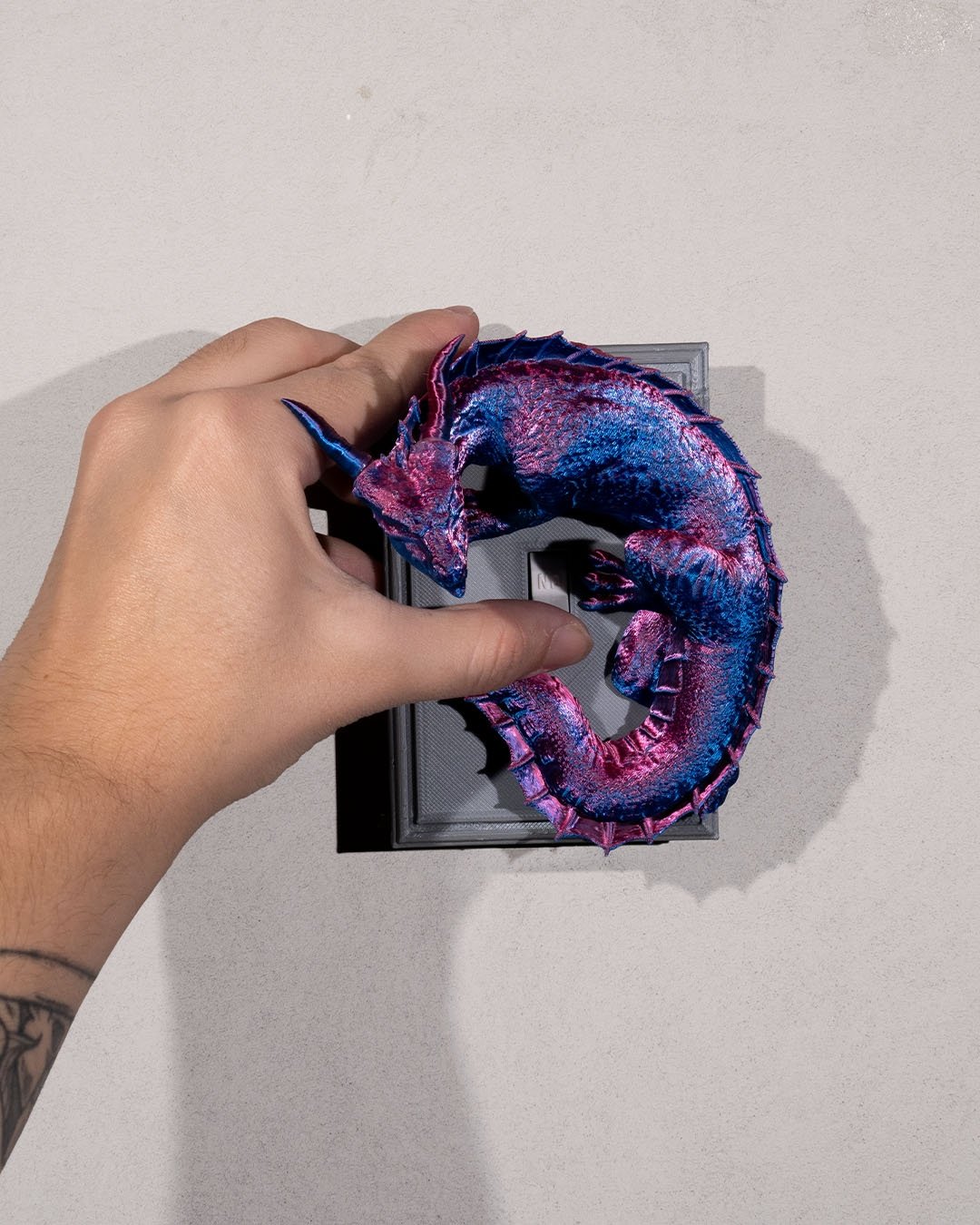 Dragon_Warden_Light_Switch_Cover2_45e1b2740b.jpg