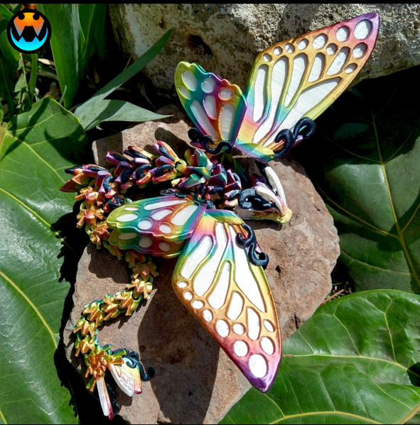 butterfly dragon.png