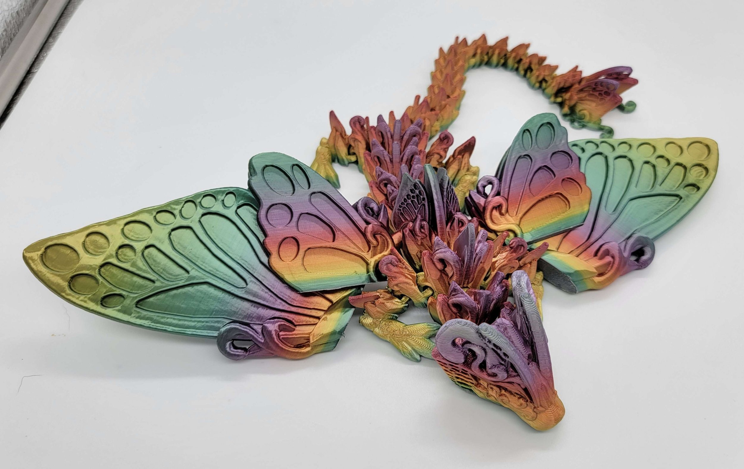 butterflybigwing1.jpg