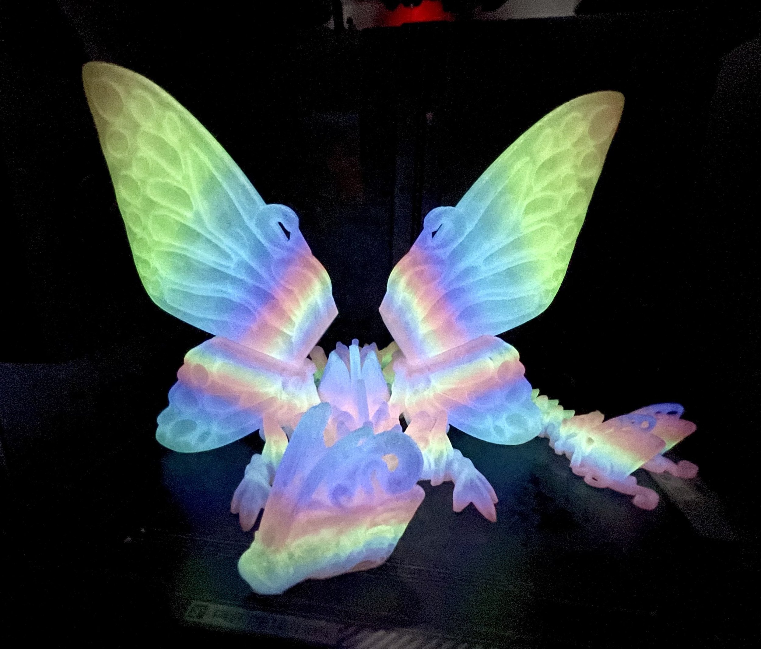 butterflybigwing.jpg