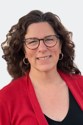 January webinar for Helbling 