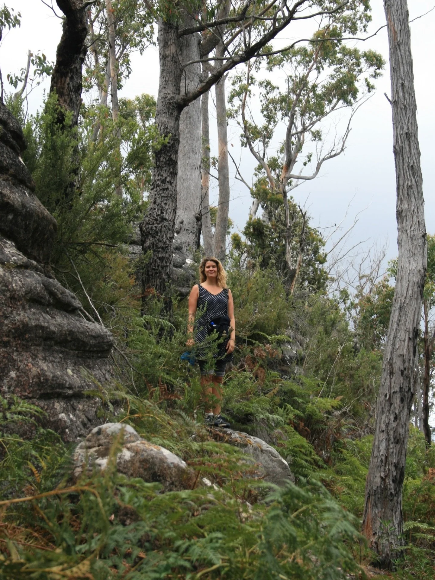 Me, trying to understand systems 🌞🪾🍃