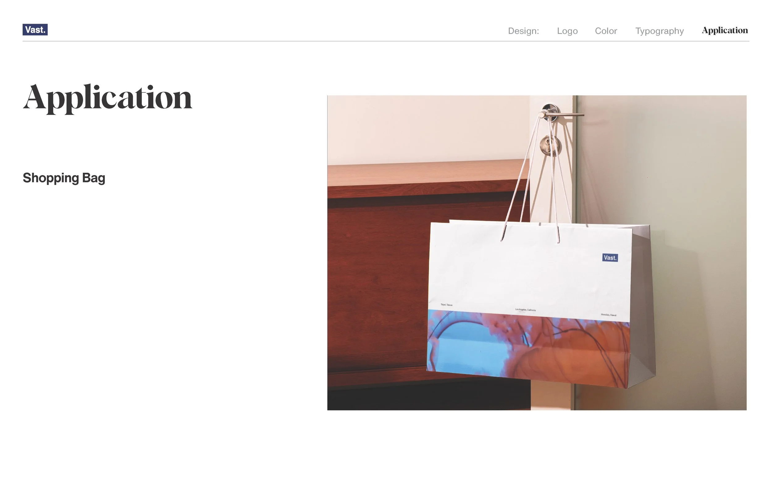 Vast_Brand Guidelines _Page_24.jpg