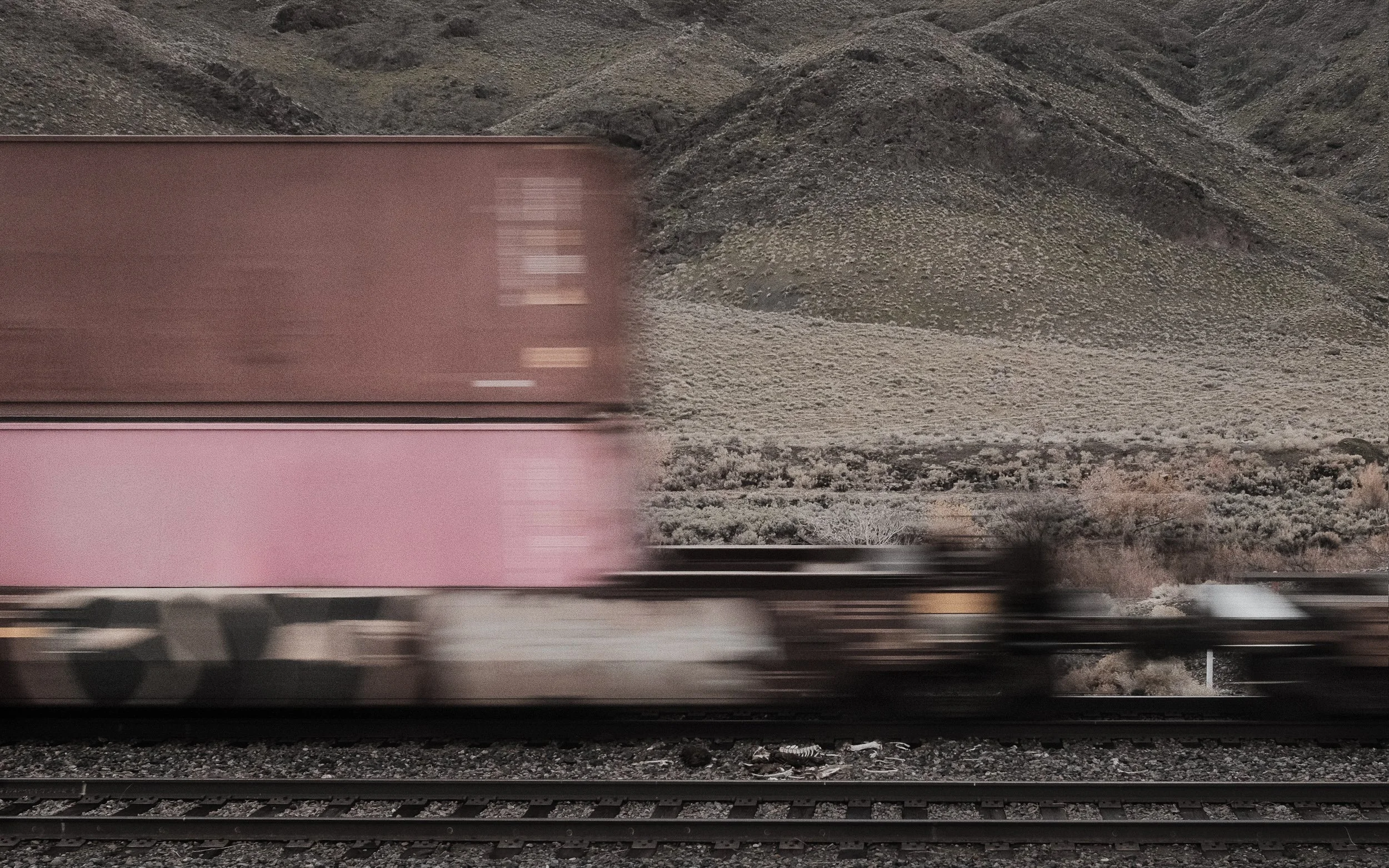 American Apart-6.jpg