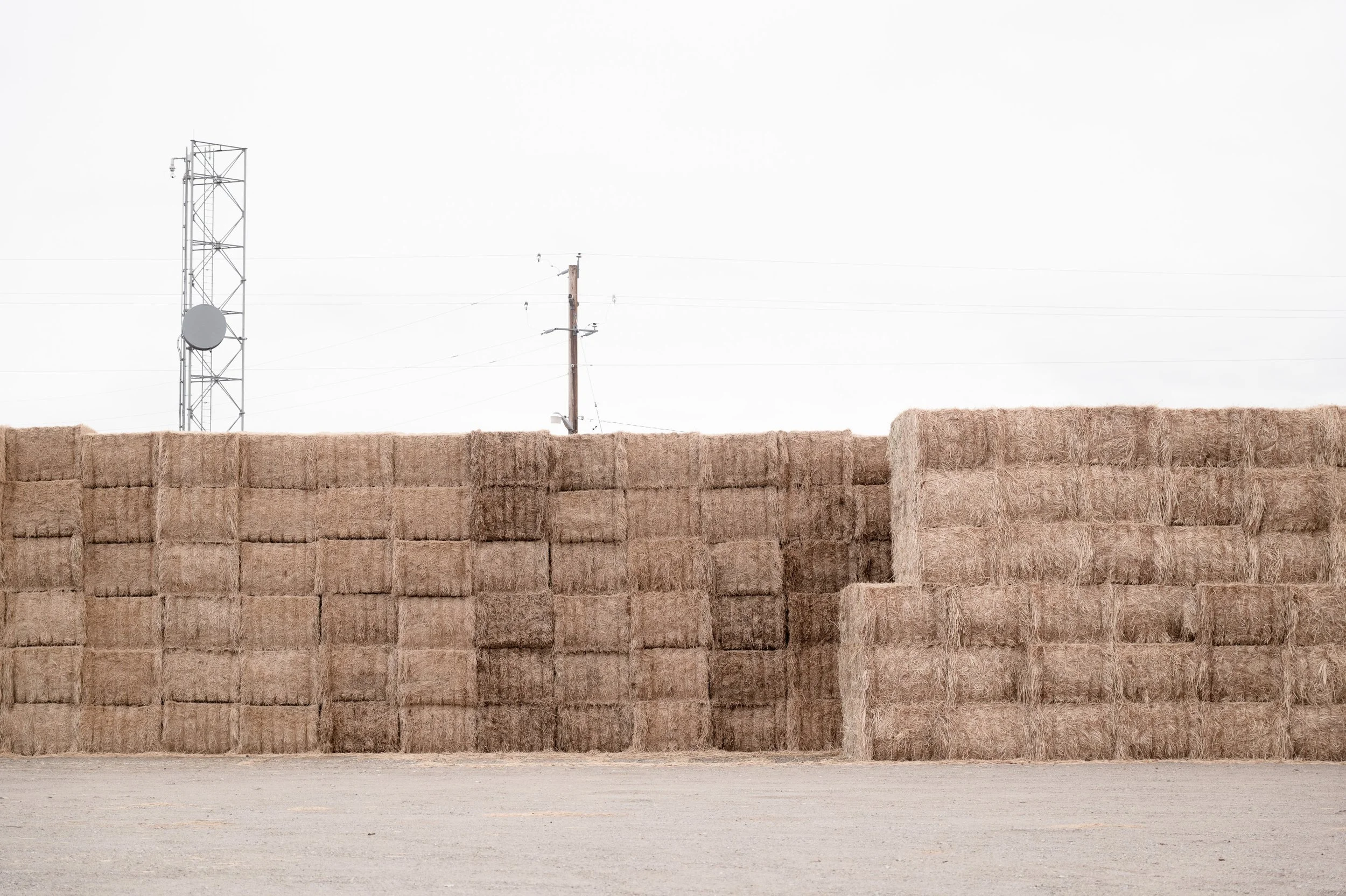 American Apart-2.jpg