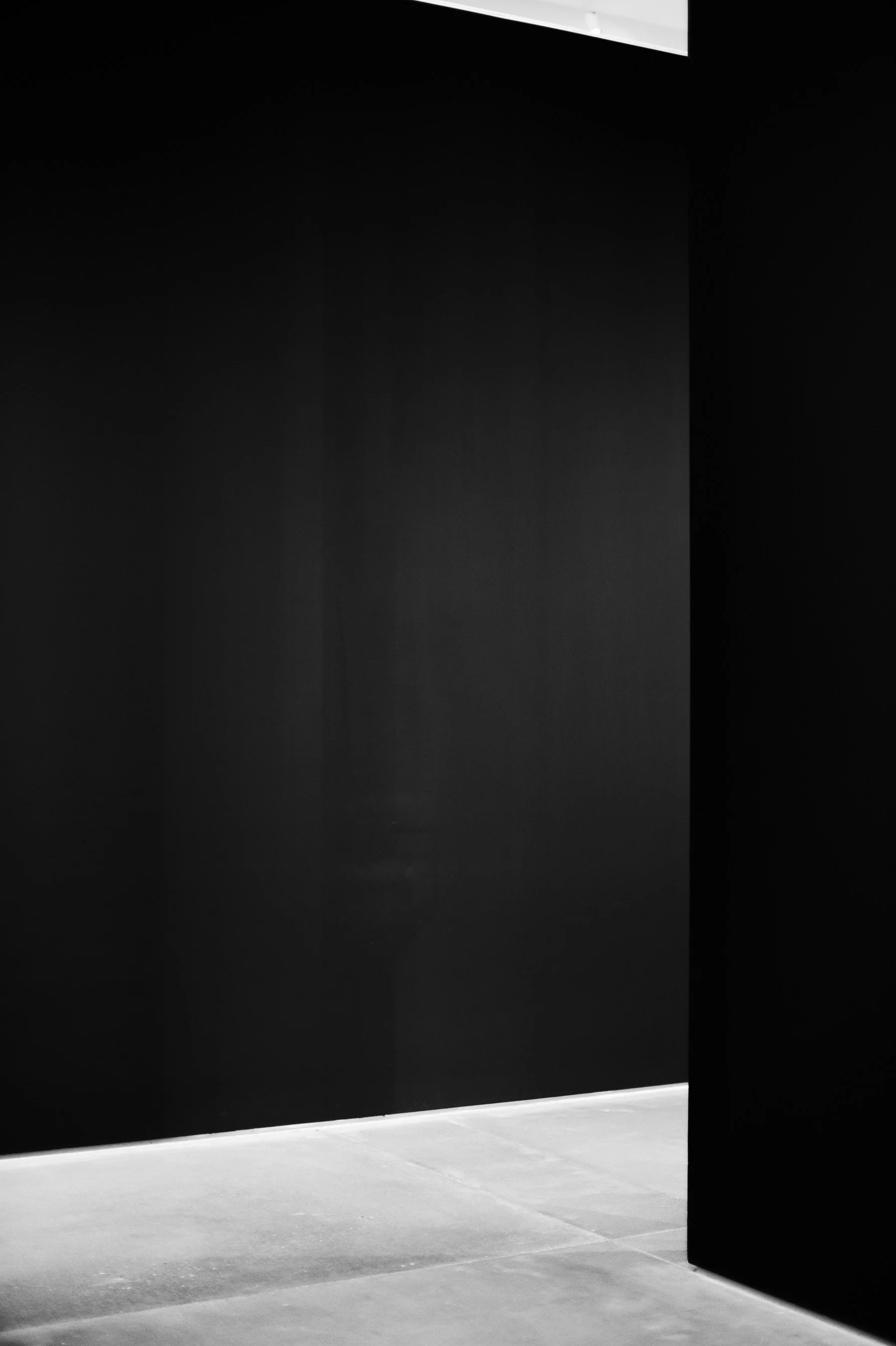 Absent Protocol-2.jpg