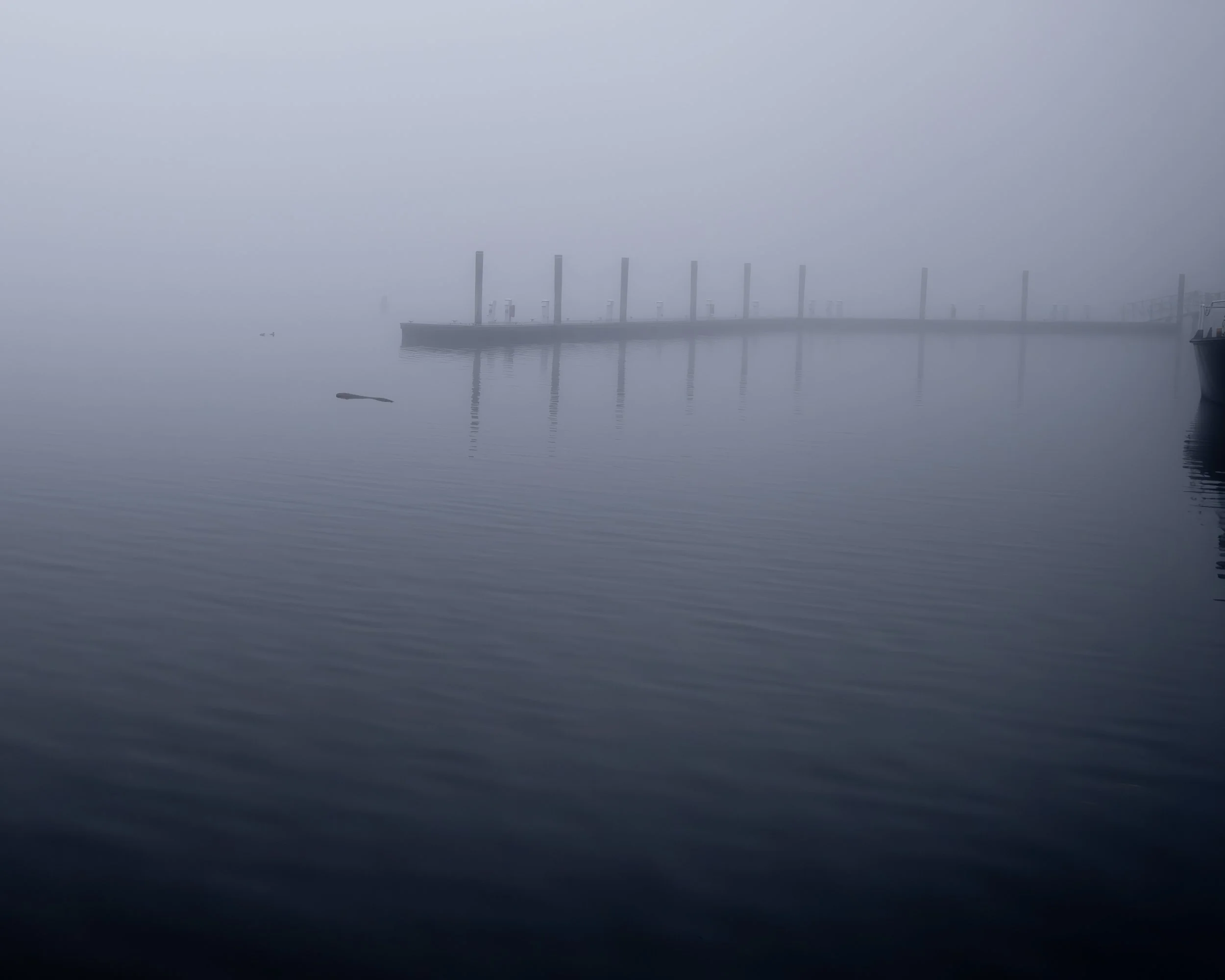 Maine_Long season-11.jpg