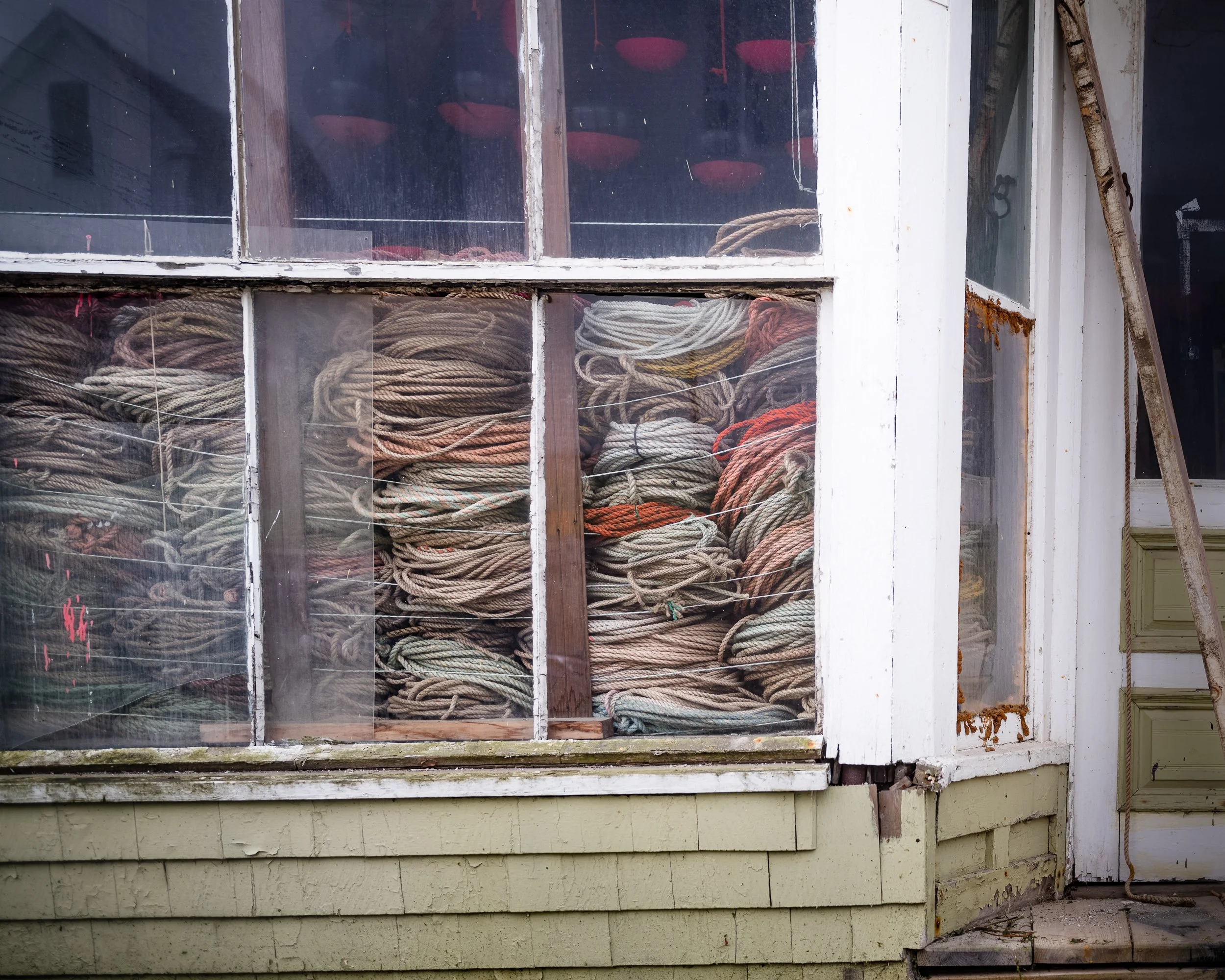 Maine_Long season-5.jpg