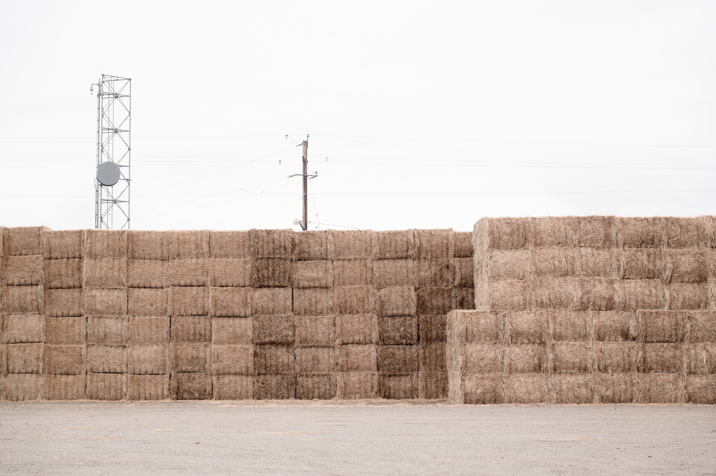 American Apart-2.jpg