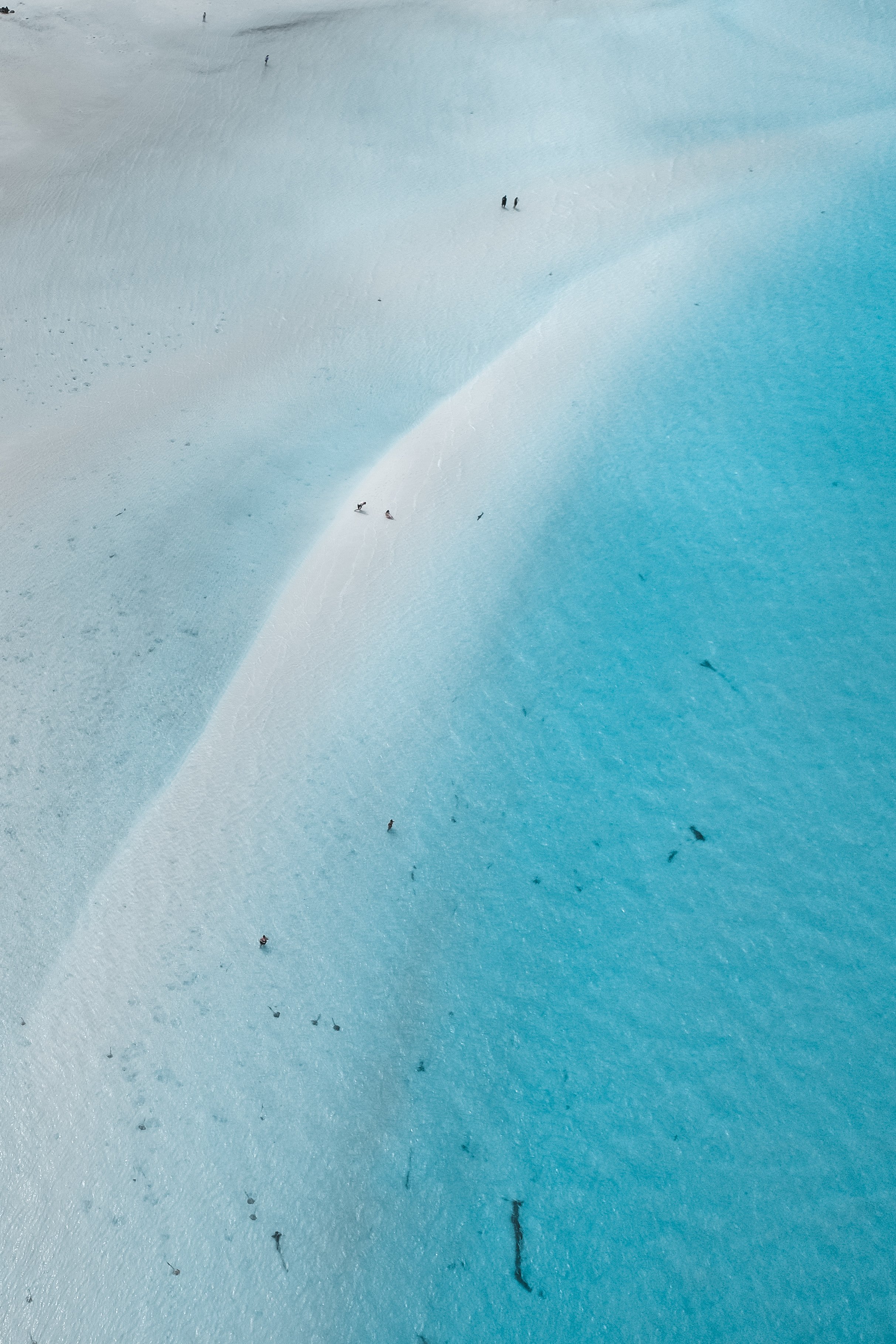 DJI_0859.jpg