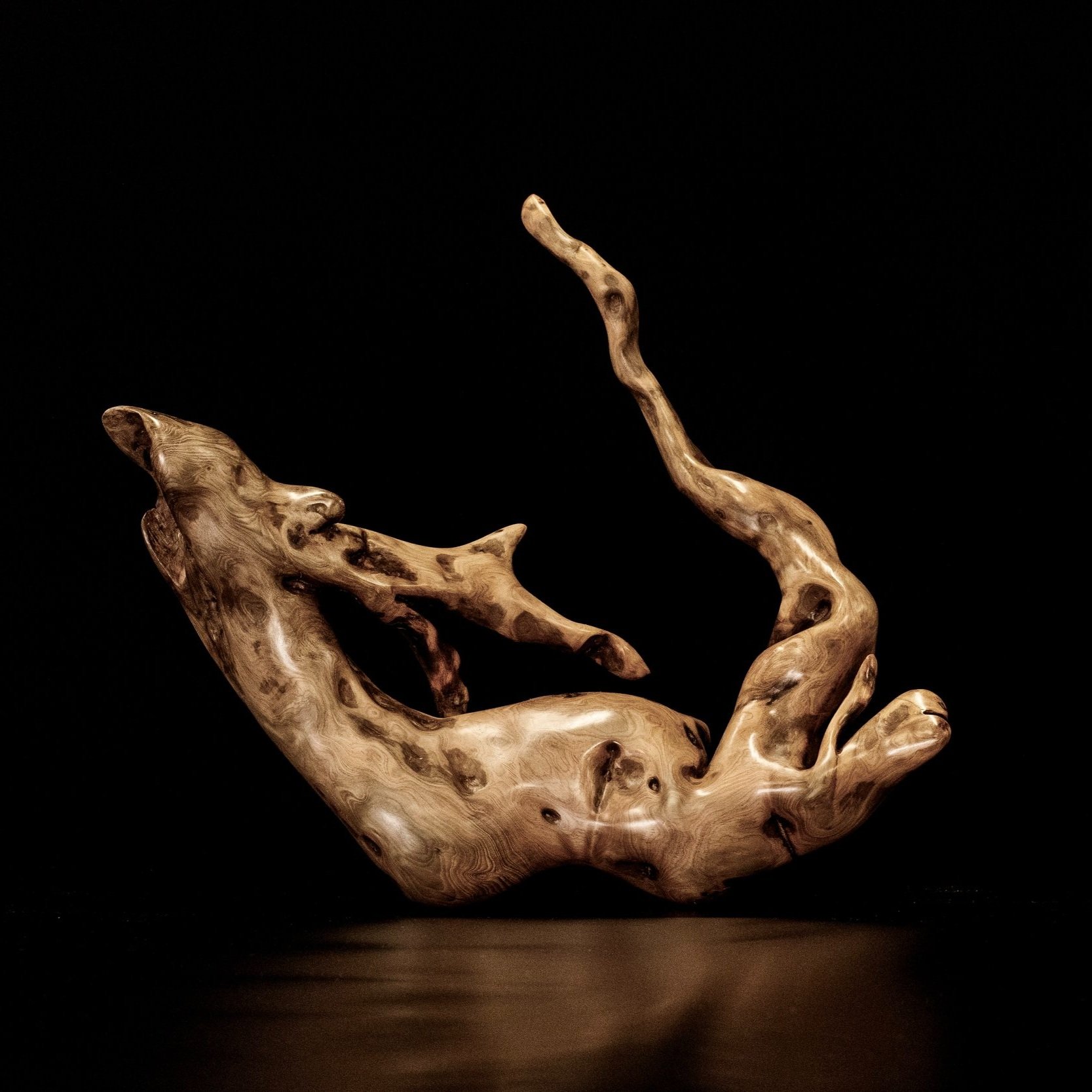 001_Dancing+Caribou.jpg