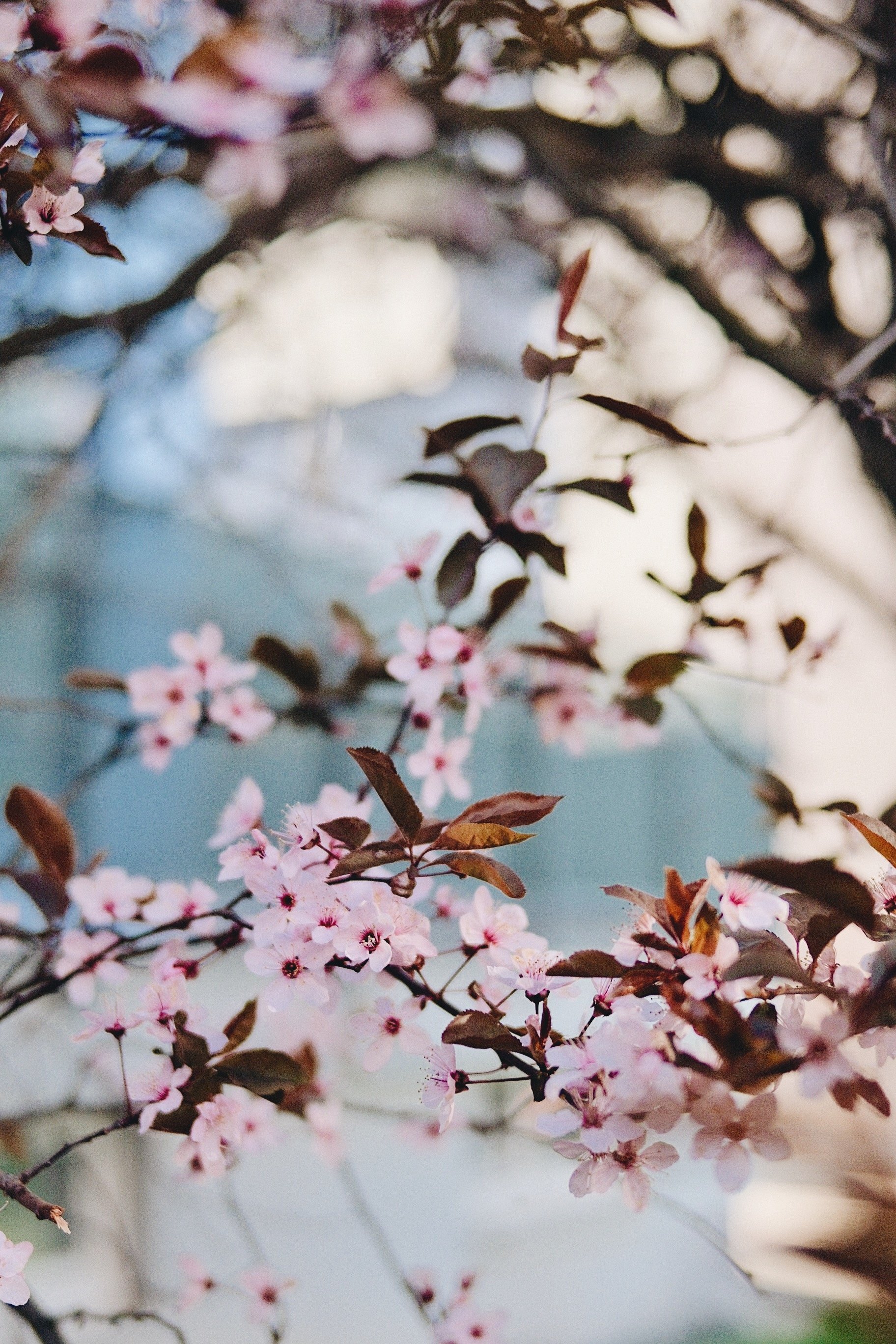 FullSizeRender_VSCO 2.JPG