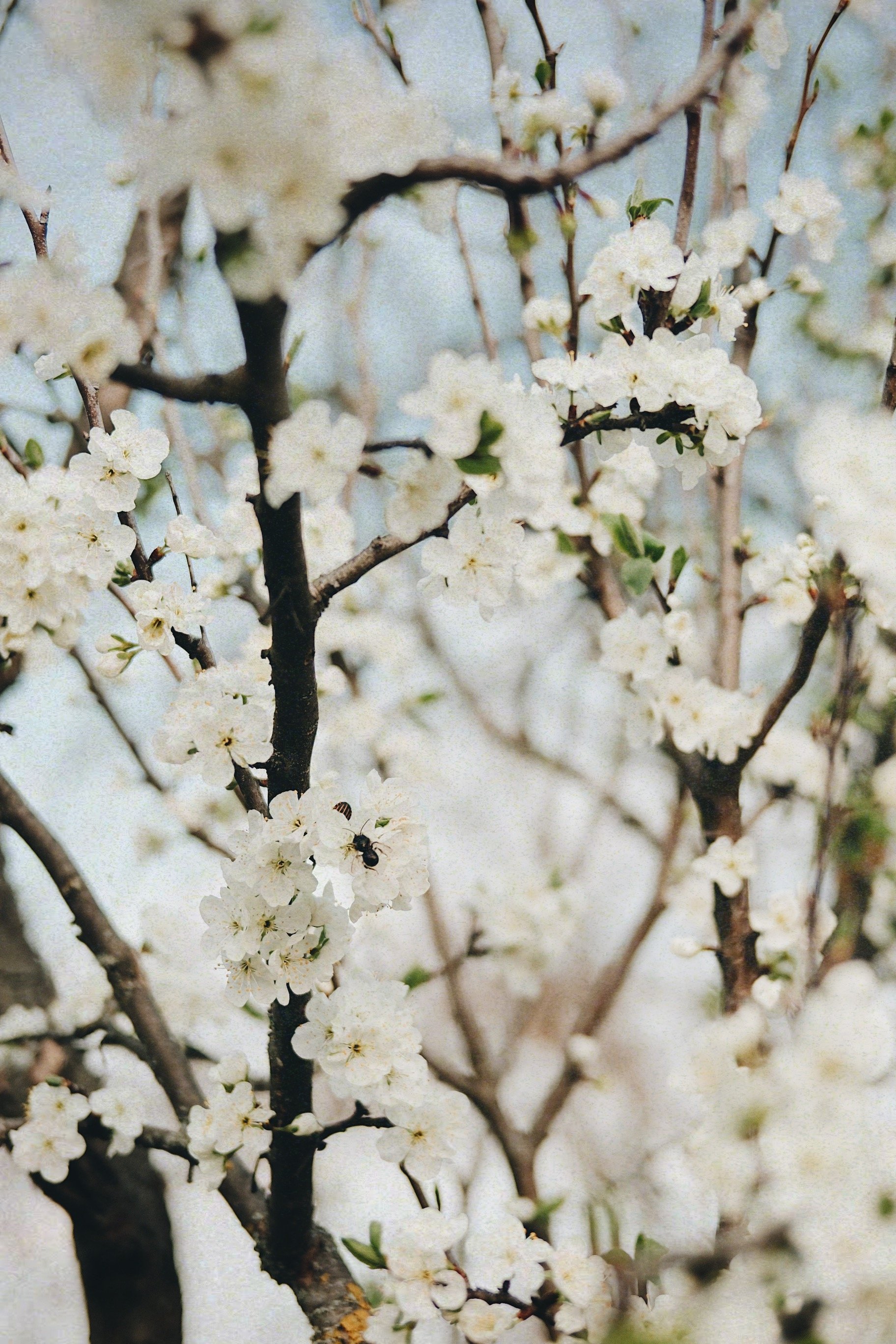 DSCF9827_VSCO.JPG