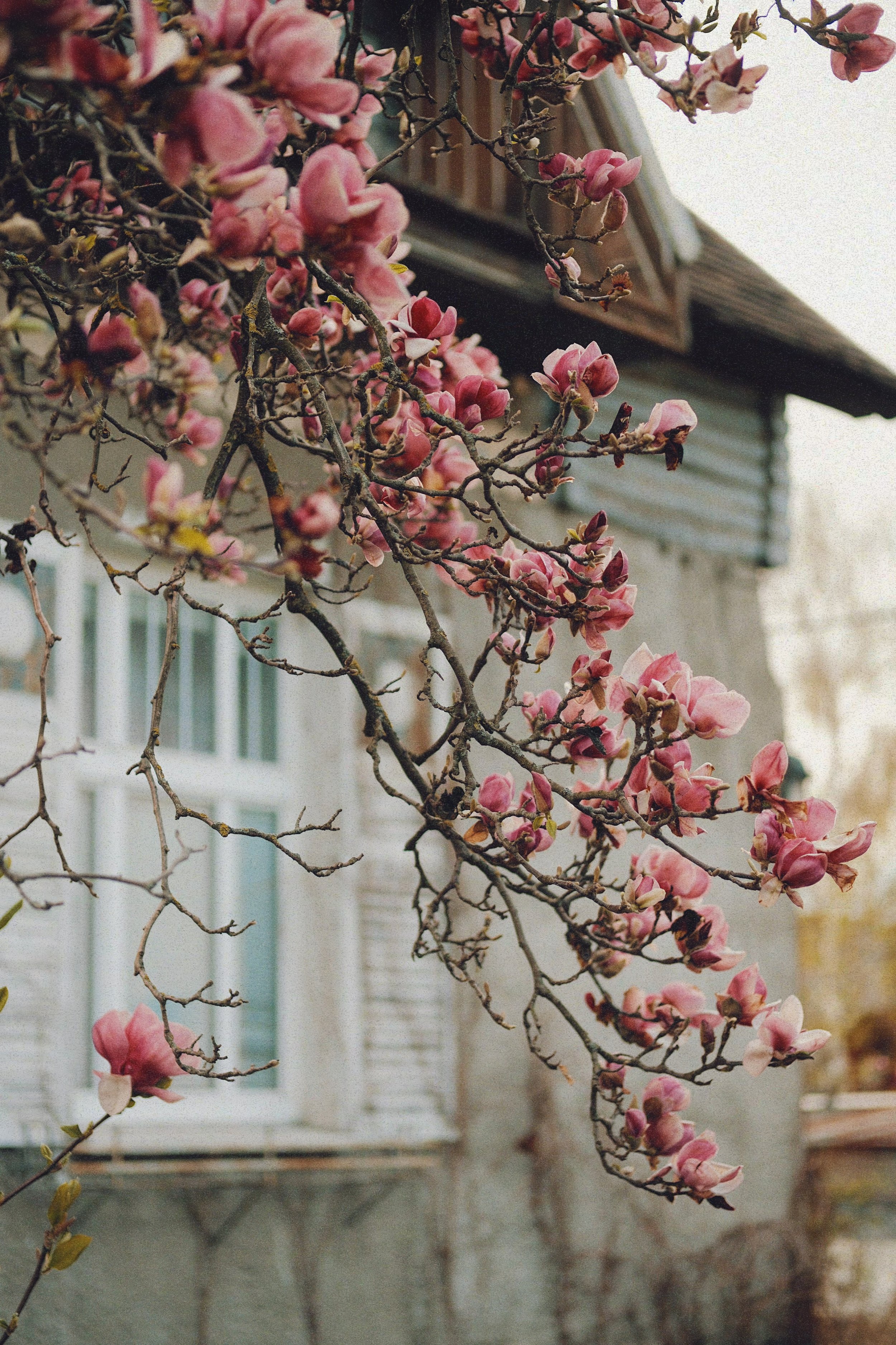 DSCF0165_VSCO.JPG
