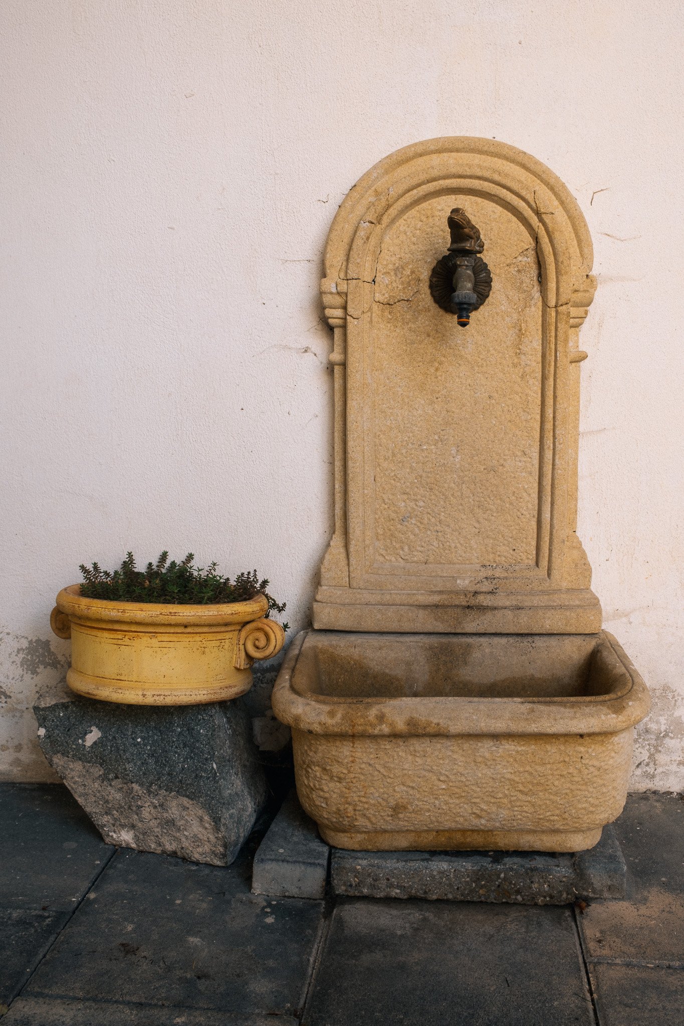 DSCF3714.jpg