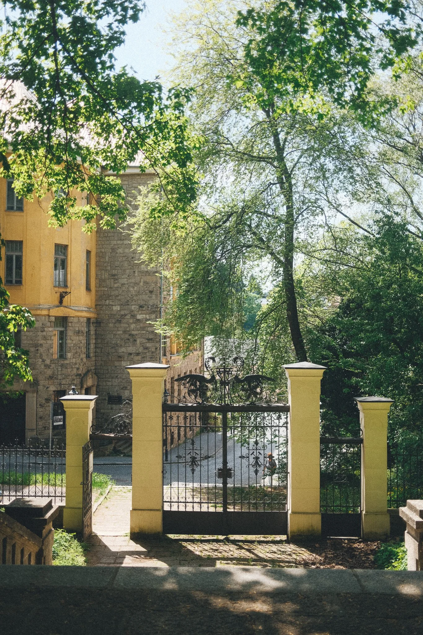 DSCF3784-2.jpg