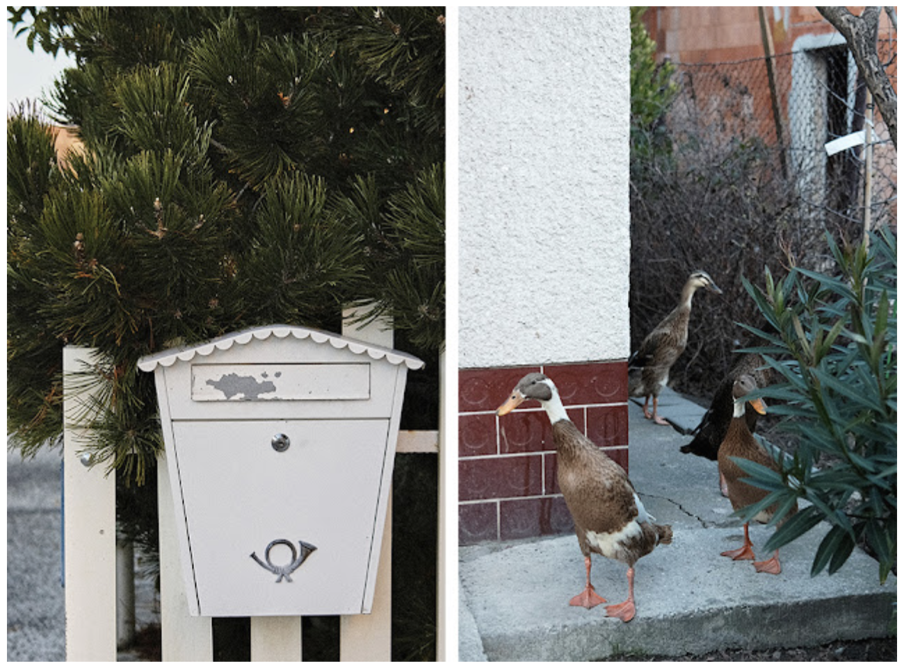 Screenshot 2025-08-06 at 10.27.49 AM.png