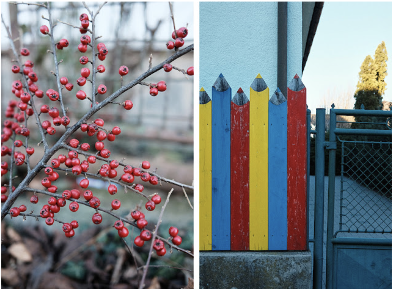 Screenshot 2025-08-06 at 10.26.30 AM.png