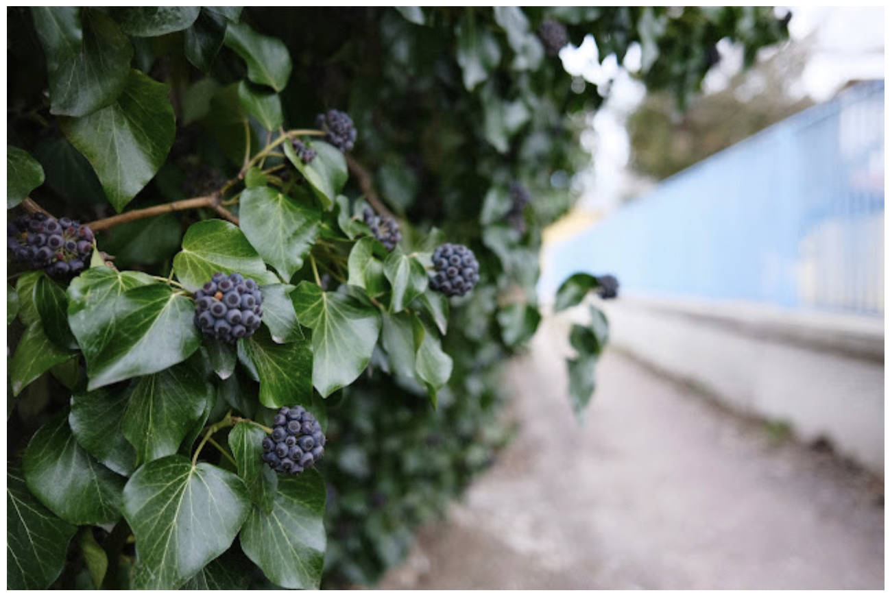 Screenshot 2025-08-06 at 10.40.49 AM.png