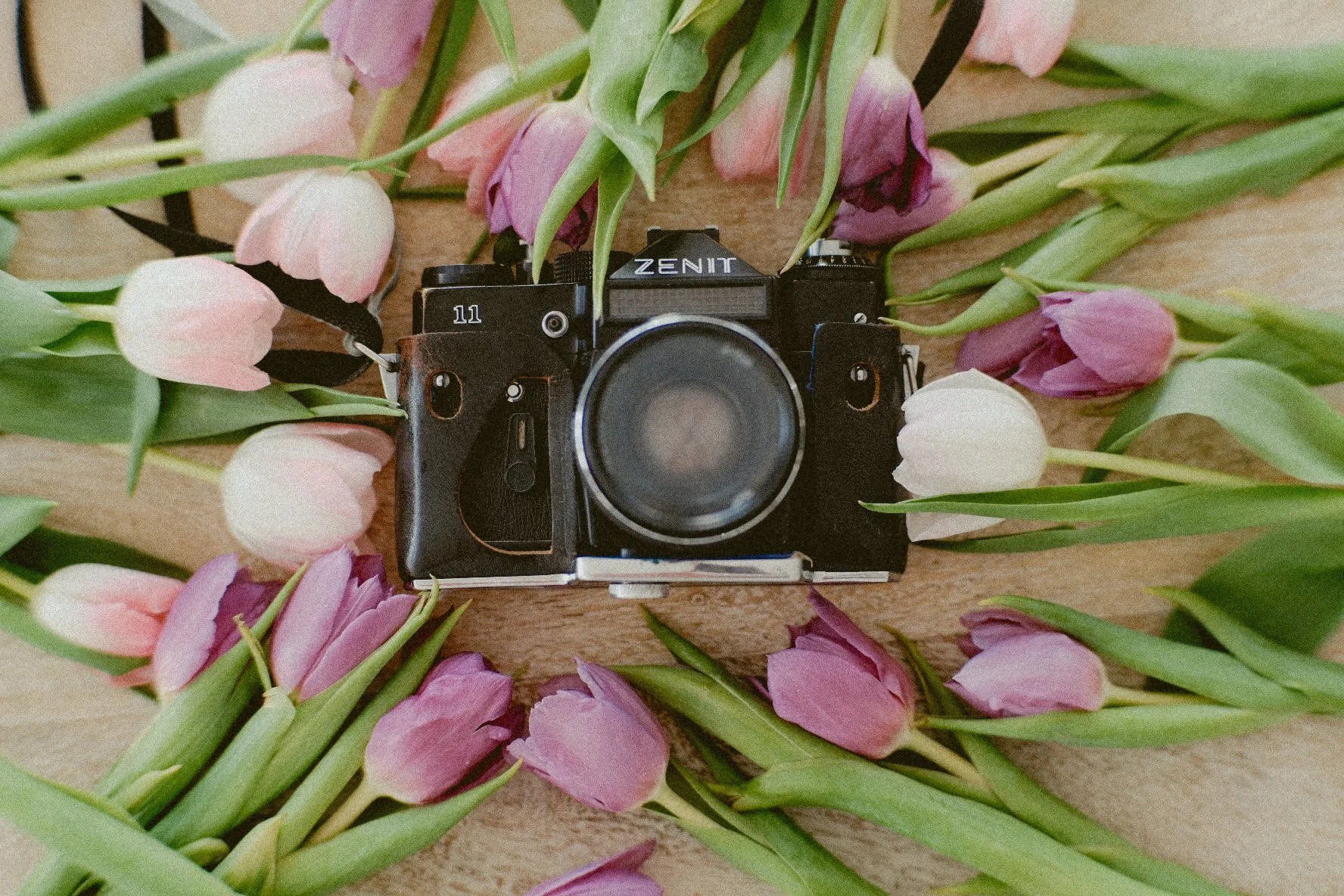 A Pawn Shop Treasure