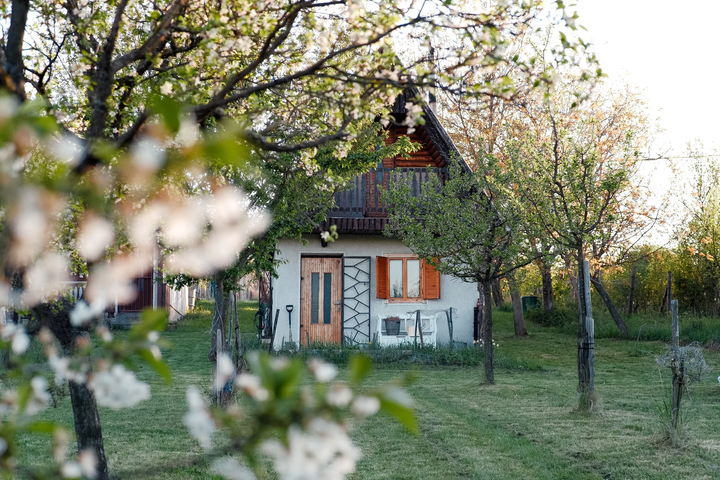 A Day At The Cottage