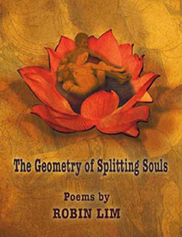 Geometry of Splitting Souls