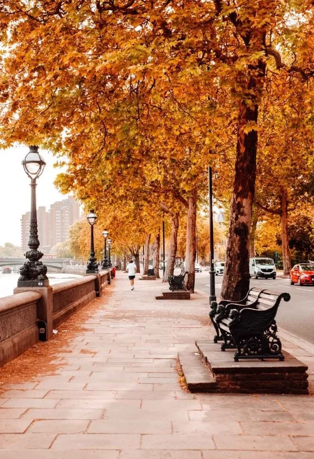 Best Things To Do In London In October 2024