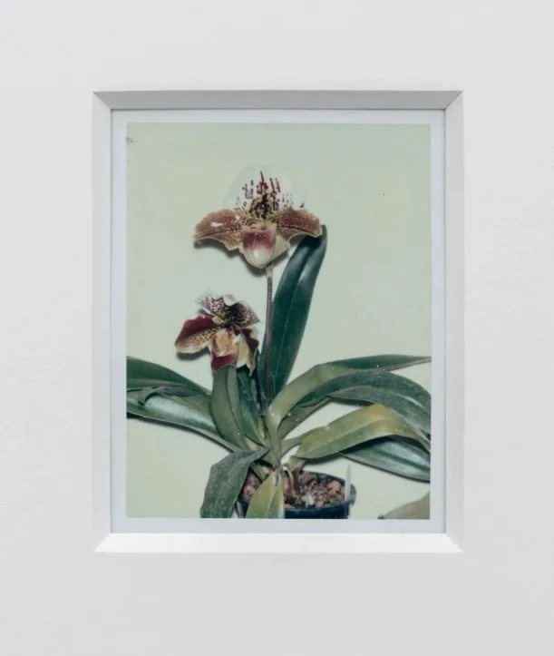 Memories of the Future