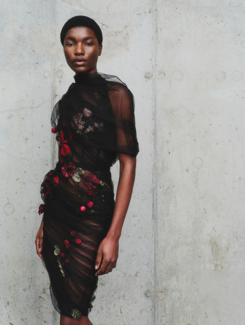 Screenshot 2026-02-16 210422.png