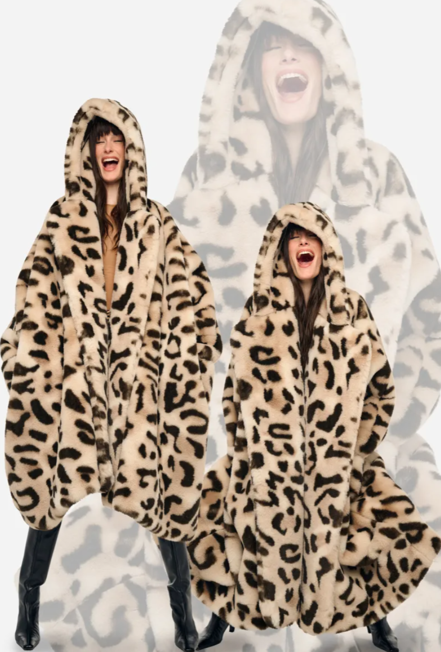 Screenshot 2026-02-22 094347.png