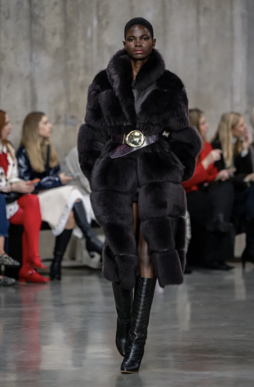 Screenshot 2026-02-22 165109.png