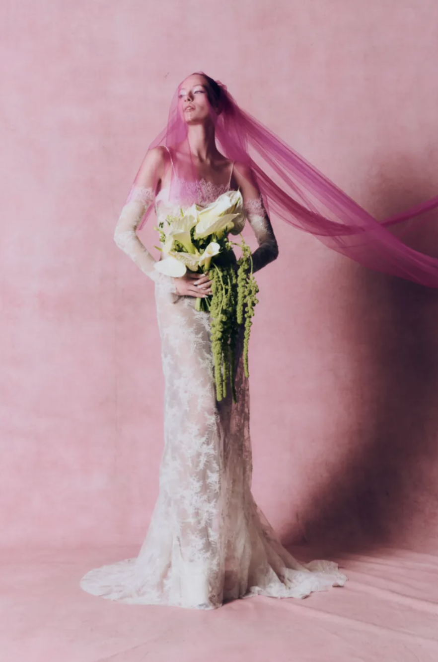 Screenshot 2026-02-22 222229.png