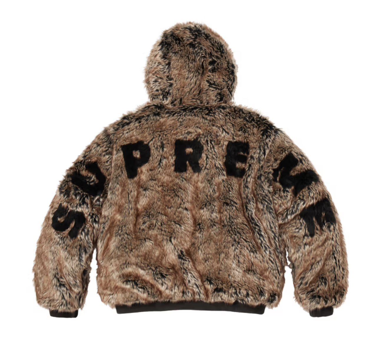 Screenshot 2026-02-23 203507.png