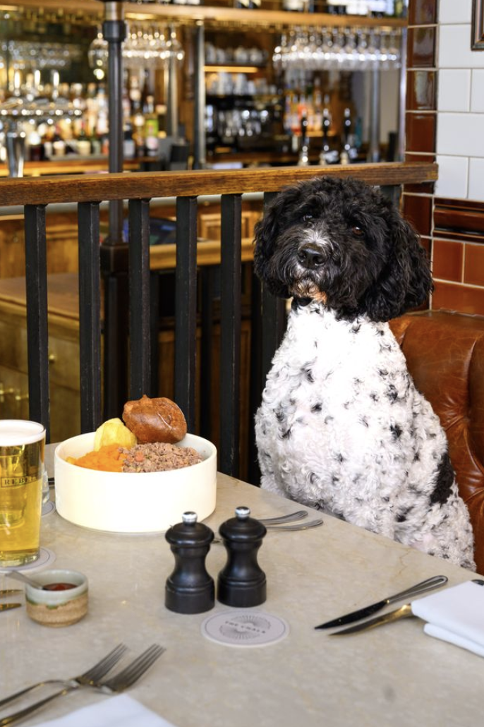 How to Celebrate National Dog Day in London: The Best Dog-Friendly Things to Do