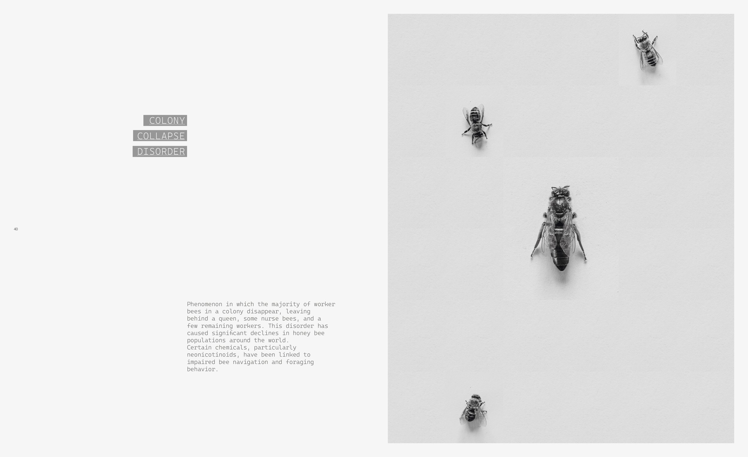 _Beekeeper_Book_part_I_270x330_2025_site_21.jpg