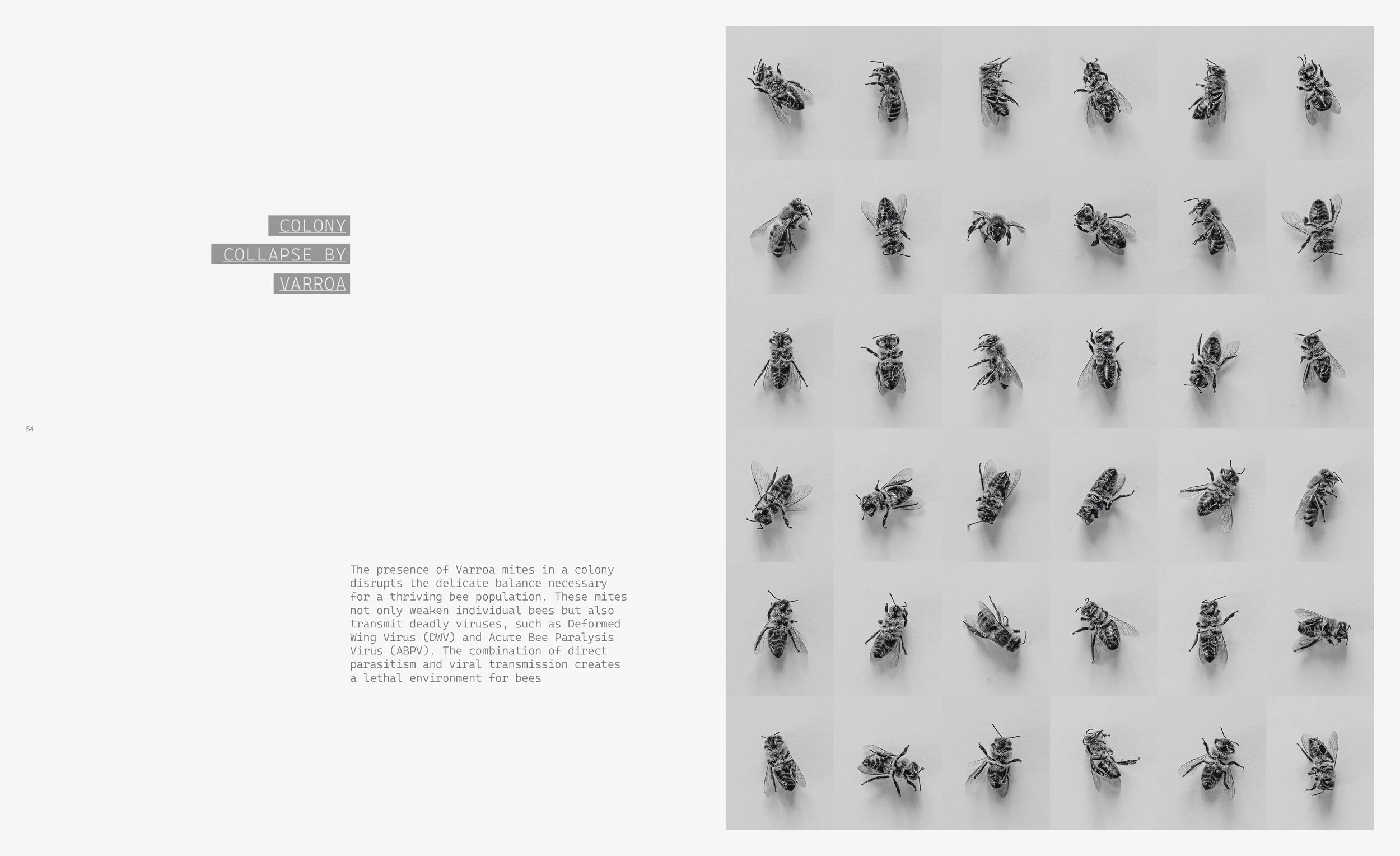 _Beekeeper_Book_part_I_270x330_2025_site_28.jpg